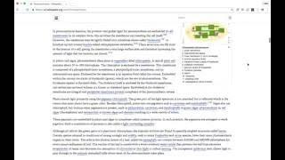 WikiReader