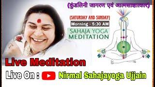 कुत्ता,घोड़ा,हाथी की भक्ति,पुत्र,पति,पत्नी की मर्यादा,हनुमत बल SahajaYoga Morning Meditation -Live