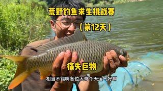 荒野钓鱼求生挑战赛第十二天，鲤鱼连杆，痛失巨物！