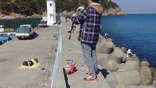 부산 가덕도 새바지 학꽁치 낚시  Busan Gadeokdo Daehang Saebagi Breakwater Hanghak Saury Fishing