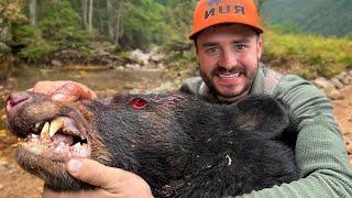 2 Days Hunting Big Black Bear in North Carolina!