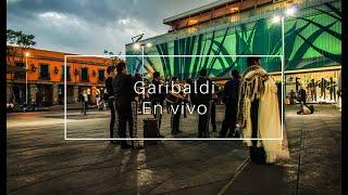 Plaza Garibaldi, Ciudad de México, en vivo