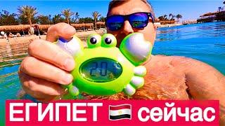 ЕГИПЕТ 2025. Похолодало - Вода теплее воздуха!!! SUNRISE Aqua Joy Resort 4*. Хургада 2025.