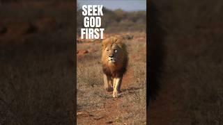 Elevate Your Life: Seek God First!