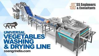 High-Efficiency Veg Washing & Drying Line by SS Engineers