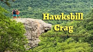 Hiking to Whitaker Point (Hawksbill Crag) is a must do hike in Arkansas' Buffalo National River Area