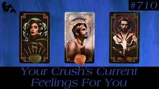 Pick A Card Tarot - Your Crush’s Current Feelings For You 🫣