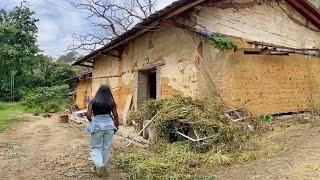 Beautiful Girl With Skillful Hands Transformed House and Garden into Amazing, Make Surprise Fan