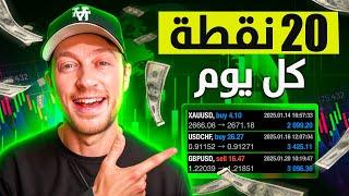حقق 20 نقطة يومياً باستخدام العرض والطلب | استراتيجية سكالبينج بخمس دقائق