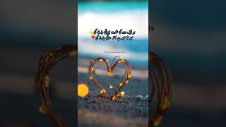 Eid To Eid Hai ️ Eid Poetry || Whatsapp Status #status #eidpoetry #shorts