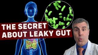 What is Leaky Gut