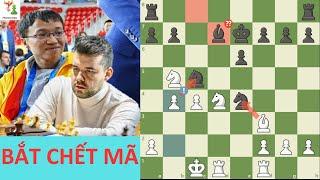 Nguyễn Ngọc Trường Sơn Tung Đòn Hiểm, Bắt Chết Mã Của Ian Nepomniachtchi || Phoenix Chess