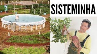 Sisteminha  - A produção integrada de alimentos que está transformando vidas!