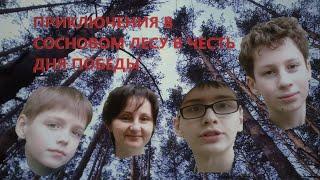 ПРИКЛЮЧЕНИЯ В СОСНОВОМ ЛЕСУ В ЧЕСТЬ ДНЯ ПОБЕДЫ