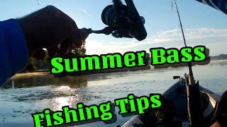 Summer Bass Fishing Tips at Baw Beese Lake in Hillsdale Michigan