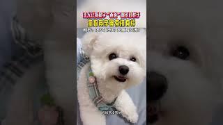 主人让狗狗学爸爸喝多的样子狗狗竟学得有模…… @中文热点信息 #新闻 #时政 #政治 #中国 #民生 #情感 #正能量 #社会问题 #政府 #政策 #分析