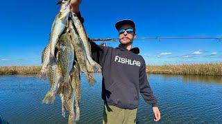 Keeper Speckled Trout in the Marsh! They're Back!