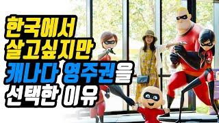 한국에서 평생 살고 싶지만 캐나다 영주권을 선택한 이유  캐나다 이민, 워홀 | 3D 애니메이터 곰나