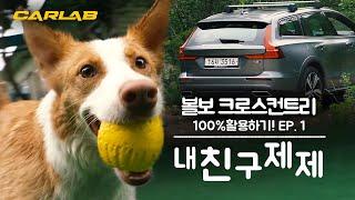 볼보 크로스컨트리 100% 활용기1탄 - 내 친구 제제 [카랩/CARLAB]