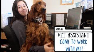 VET ASSISTANT | COME TO WORK WITH ME!