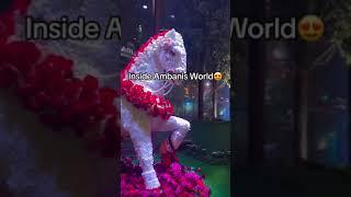 THE INSIDE TOUR OF AMBANI'S GRAND LUXURIOUS WEDDING #shorts #ambanifamily#richlifestyle#richlife