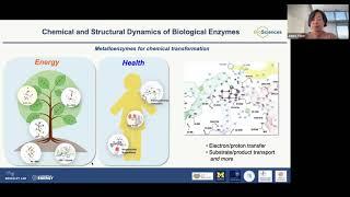 X-ray Emission and Absorption Spectroscopy of Biological Materials at XFELs (Dr. Junko Yano LBNL)