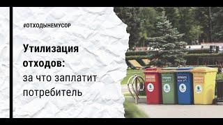 Утилизация отходов: за что заплатит потребитель?