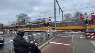 Spoorwegovergang Almelo de Riet // Dutch railroad crossing (Update 2025)