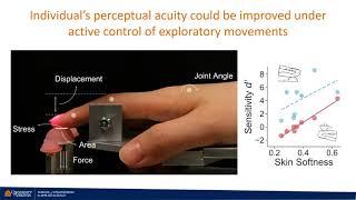 Individual Performance in Softness Discrimination