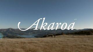 Autumn In Akaroa - Walking Purple Peak Curry Track