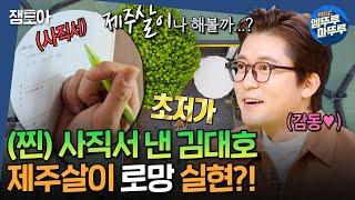 [구해줘홈즈] 퇴사자 김대호의 제주도 로망 실현! 연세 0원부터 월 매출 2천만 원 카페까지 가성비 제주살이 완전 정복 | #김대호 #제주도 MBC25020방송