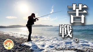 【釣りキャンプ】ぼっち女のソロキャンプ 【淡路島】Fishing and Camping on Awaji Island[motorcycle camping in japan]