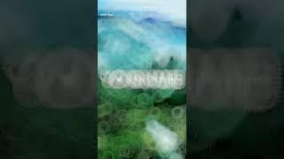 Vijendra Kumar Singh 9162795233
