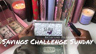 Cash Envelope Stuffing Savings Challenges | $146 | low income 22 y/o budget #savingschallenges