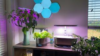 Easy Hydroponics with AeroGarden & Botanium