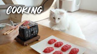 Tuna for cats | Norwegian forest cat