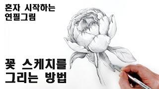 Draw flowers with a pencil