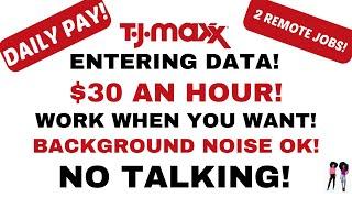 TJMaxx Hiring! No Talking Entering Data Up To $30 An Hour Daily Pay Start Today Remote Jobs