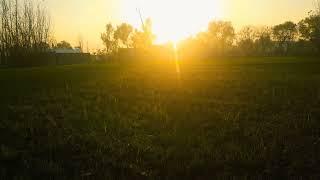 Village And Sunset || AIF Nature