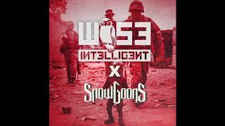 Wise Intelligent X Snowgoons - Possibly? (Produced by DJ Sixkay)