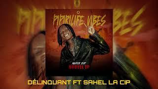 EP PIPIRILIFE VIBES ( DÉLINQUANT FT SAHEL LA CIP )