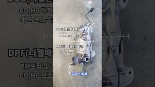 DPF 교환 일기
