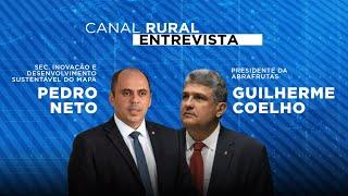 Canal Rural Entrevista | Pedro Neto, secretário do Mapa e Guilherme Coelho, presidente da Abrafrutas