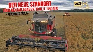 Ruhe Agrar Teil 5: Der neue Standort Picher - Mähdrusch & Bodenbearbeitung [Massey Ferguson Technik]