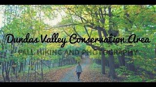 Dundas Valley Conservation Area in the Fall - Panasonic GH4 - Dundas, Ontario, Canada