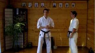 Kata Bunkai Video Tutorial 01 - Seishan (Hangetsu) Kata