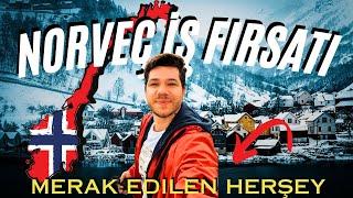 Norveç'te İş Fırsatı | Yapan Nasıl Yapıyor !   #norveç #yaşam
