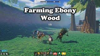 Tree of Life MMO 13- Farming Ebony Wood With A Full Raid Group!