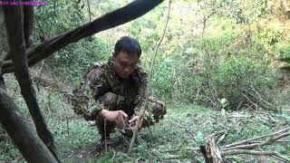 BẪY GÀ RỪNG | TÂY BẮC DISCOVERY