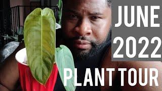 June 2022 Plant Tour